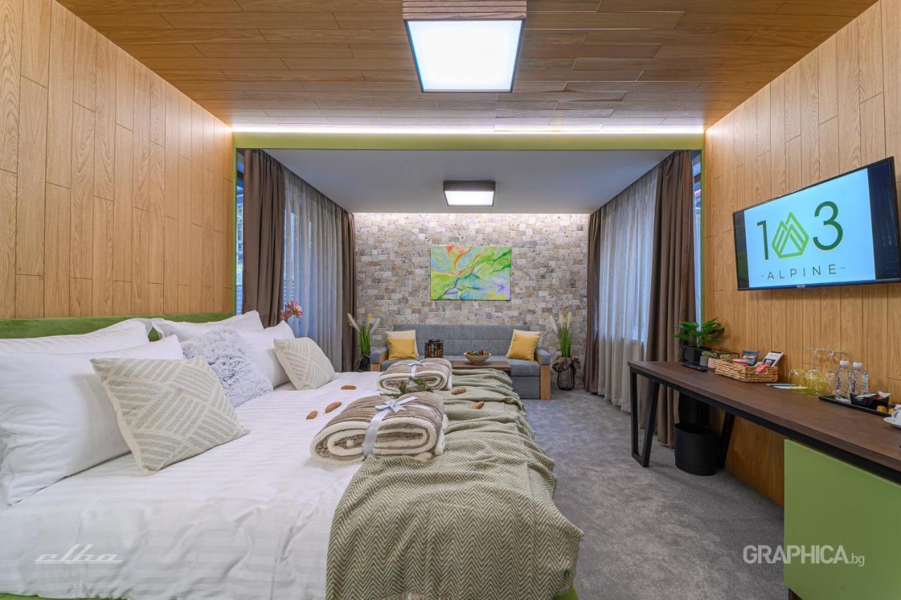 103 Alpine Hotel 潘尼希特 外观 照片