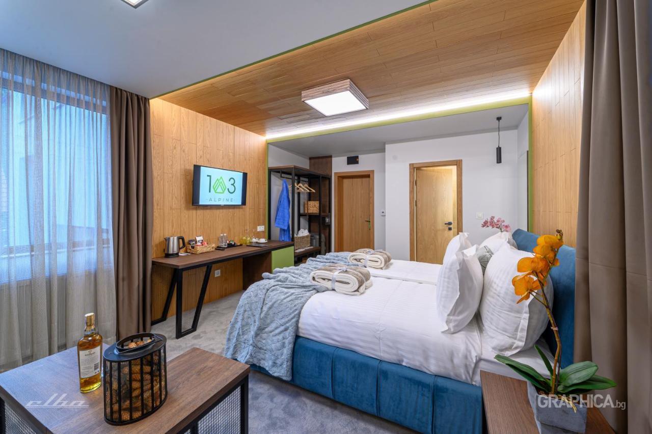 103 Alpine Hotel 潘尼希特 外观 照片